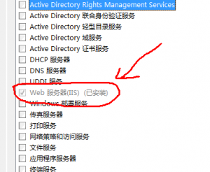 iis 300x246 Windows Server 2008´php(IIS FastCGI)