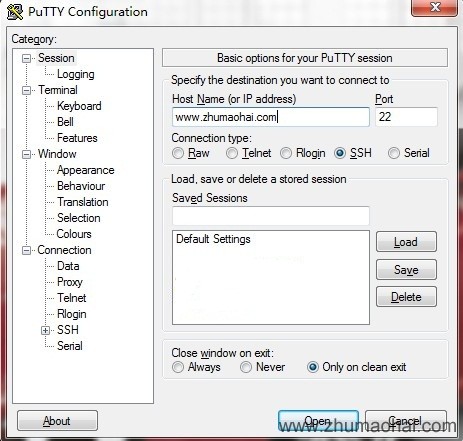 putty-squid3